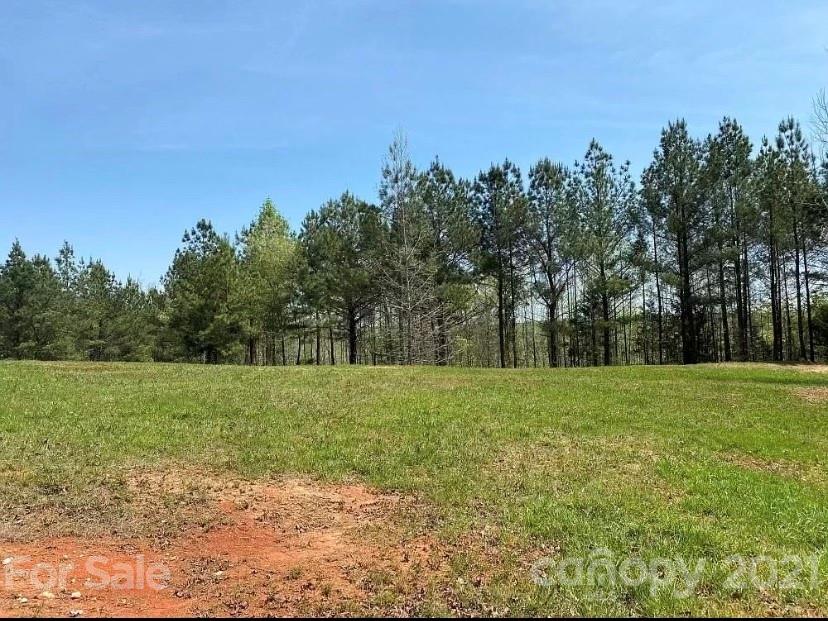 1585 Old Pinckney Road York, SC 29745 - Photo 6 of 24 a big yard with lots of green space and fog