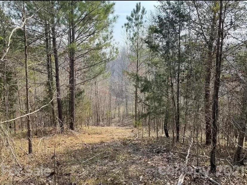 1585 Old Pinckney Road York, SC 29745 - Photo 9 of 24 a view of a yard with large trees