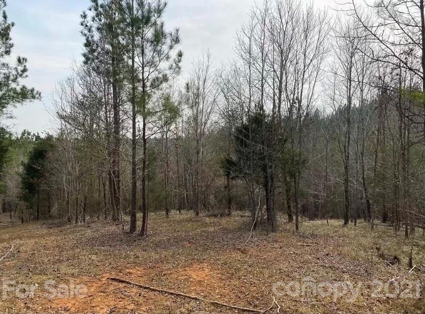 1585 Old Pinckney Road York, SC 29745 - Photo 10 of 24 a view of a forest filled with trees