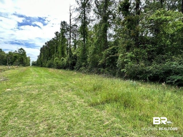 0 Wilmer Road Wilmer, AL 36587 - Photo 23 of 28