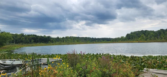 $3,190,000 | 64778 Union Road, Cassopolis, MI 49031