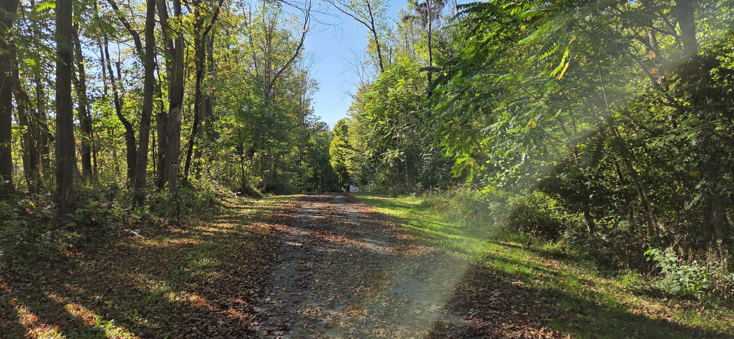 64778 Union Road Cassopolis, MI 49031 - Photo 4 of 38 14685