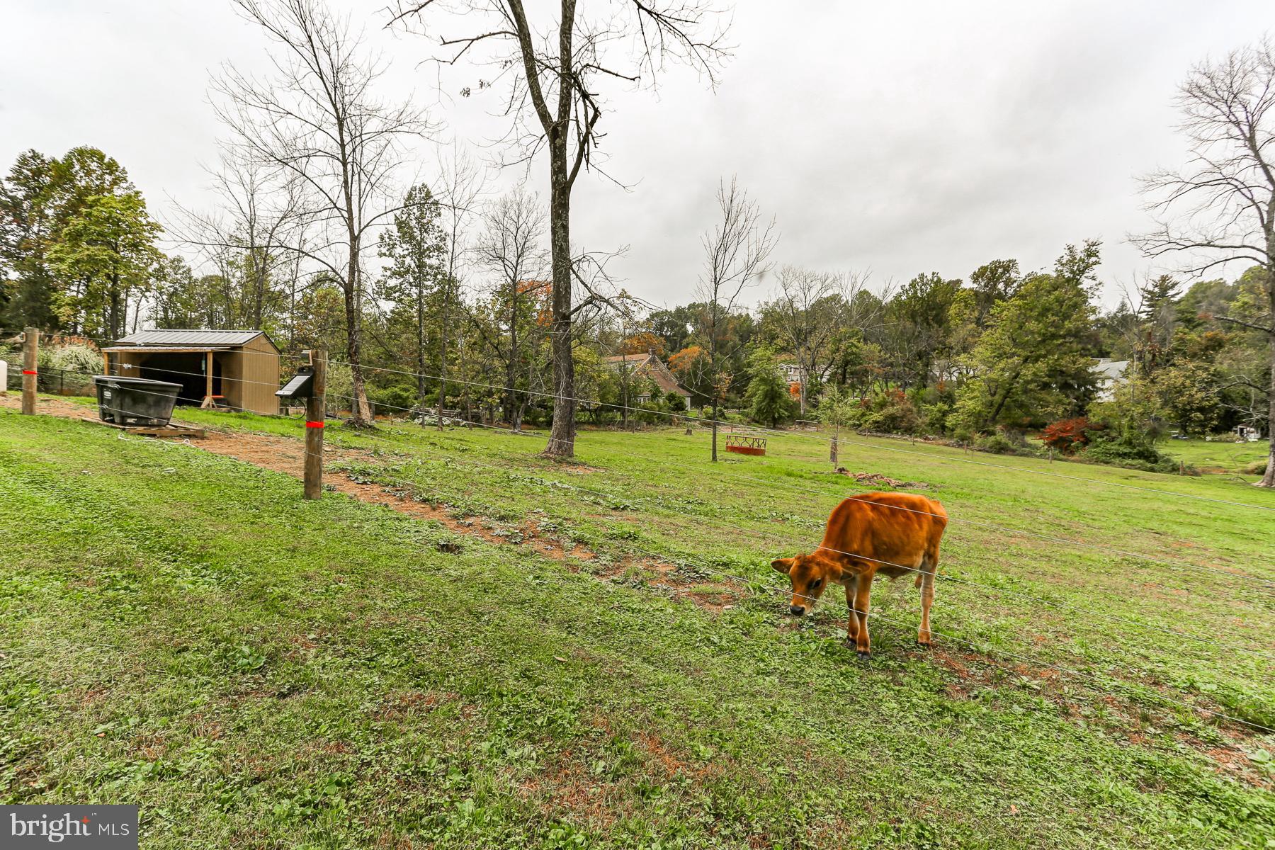 33 Oregon Road Reading, PA 19607 - Photo 90 of 109