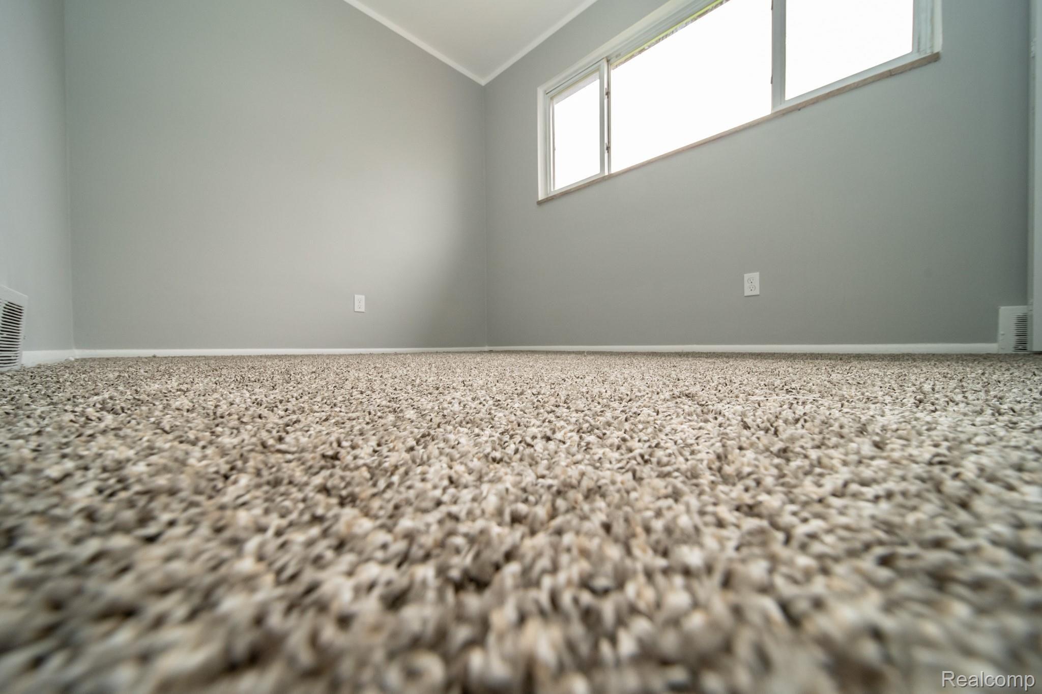 14141 Inkster Road Livonia, MI 48154 - Photo 34 of 57 DSC03222.jpg