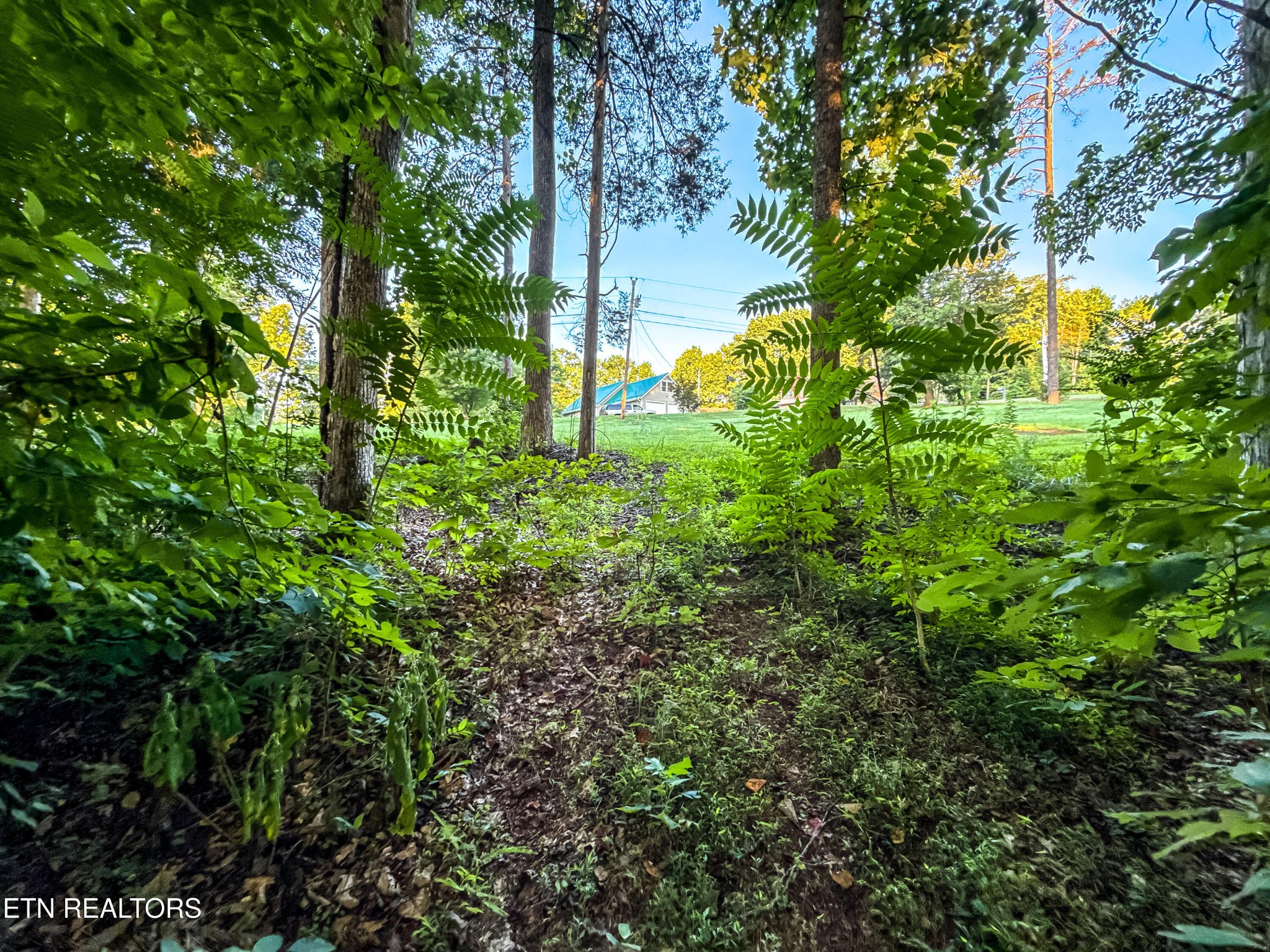 0 Helms Ferry Road Sharps Chapel, TN 37866 - Photo 22 of 43 Gallery Image 22