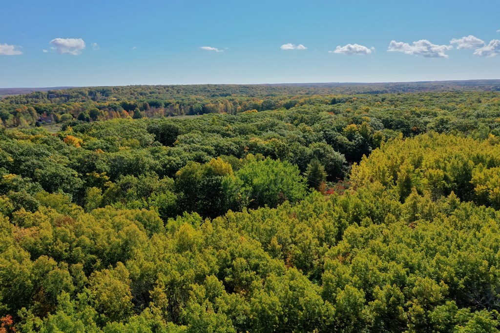 Bluff Road Fish Creek, WI 54212 - Photo 6 of 8