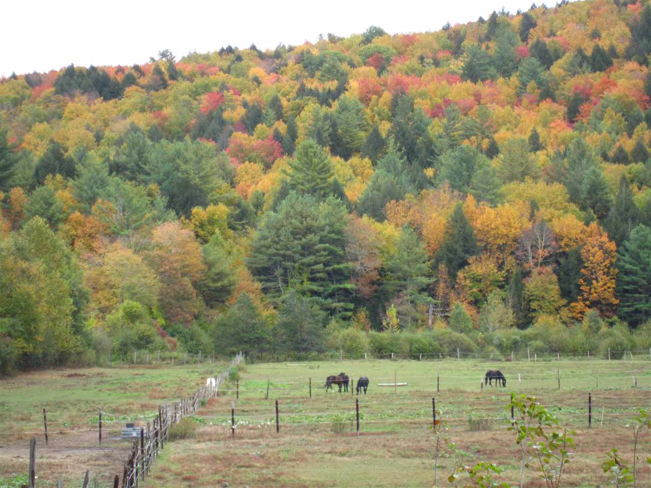117 Hill Road Brookline, VT 05345 - Photo 38 of 40