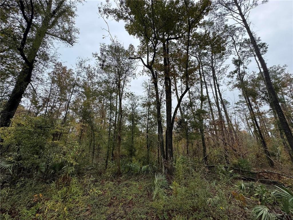 Lot 4-6 Claiborne Street Springfield, LA 70462 - Photo 2 of 3