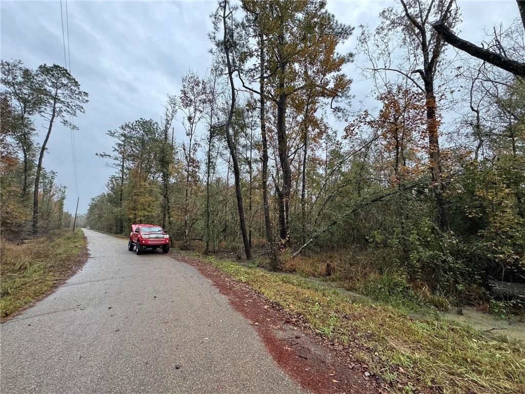 Lot 4-6 Claiborne Street Springfield, LA 70462 - Photo 3 of 3