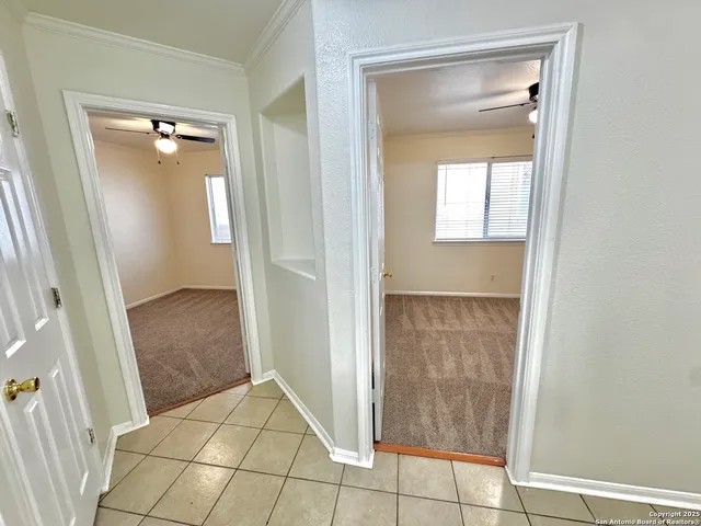 a view of pathway along with trees