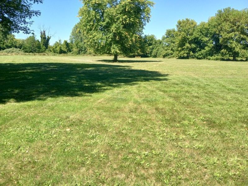 2930 Brickyard Road Twin Lake, MI 49457 - Photo 14 of 16 41753