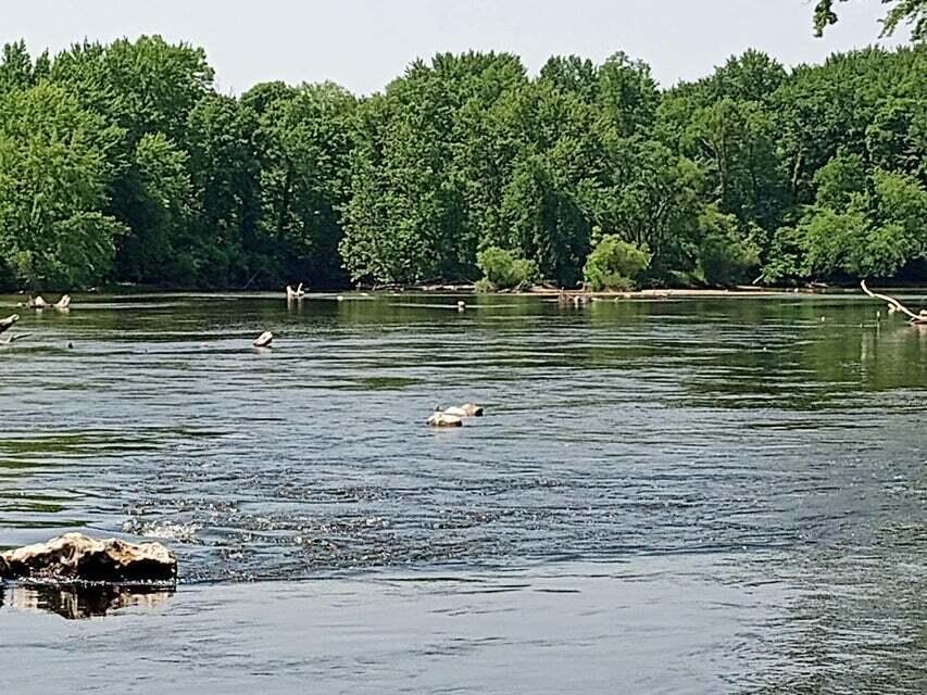 2930 Brickyard Road Twin Lake, MI 49457 - Photo 6 of 16 PIC 40