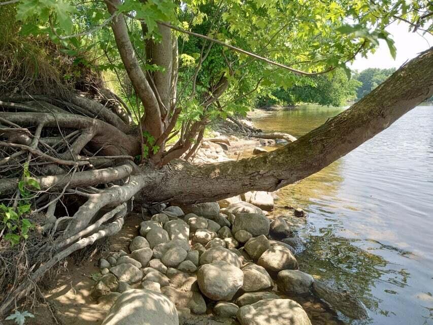 2930 Brickyard Road Twin Lake, MI 49457 - Photo 9 of 16 PIC 43