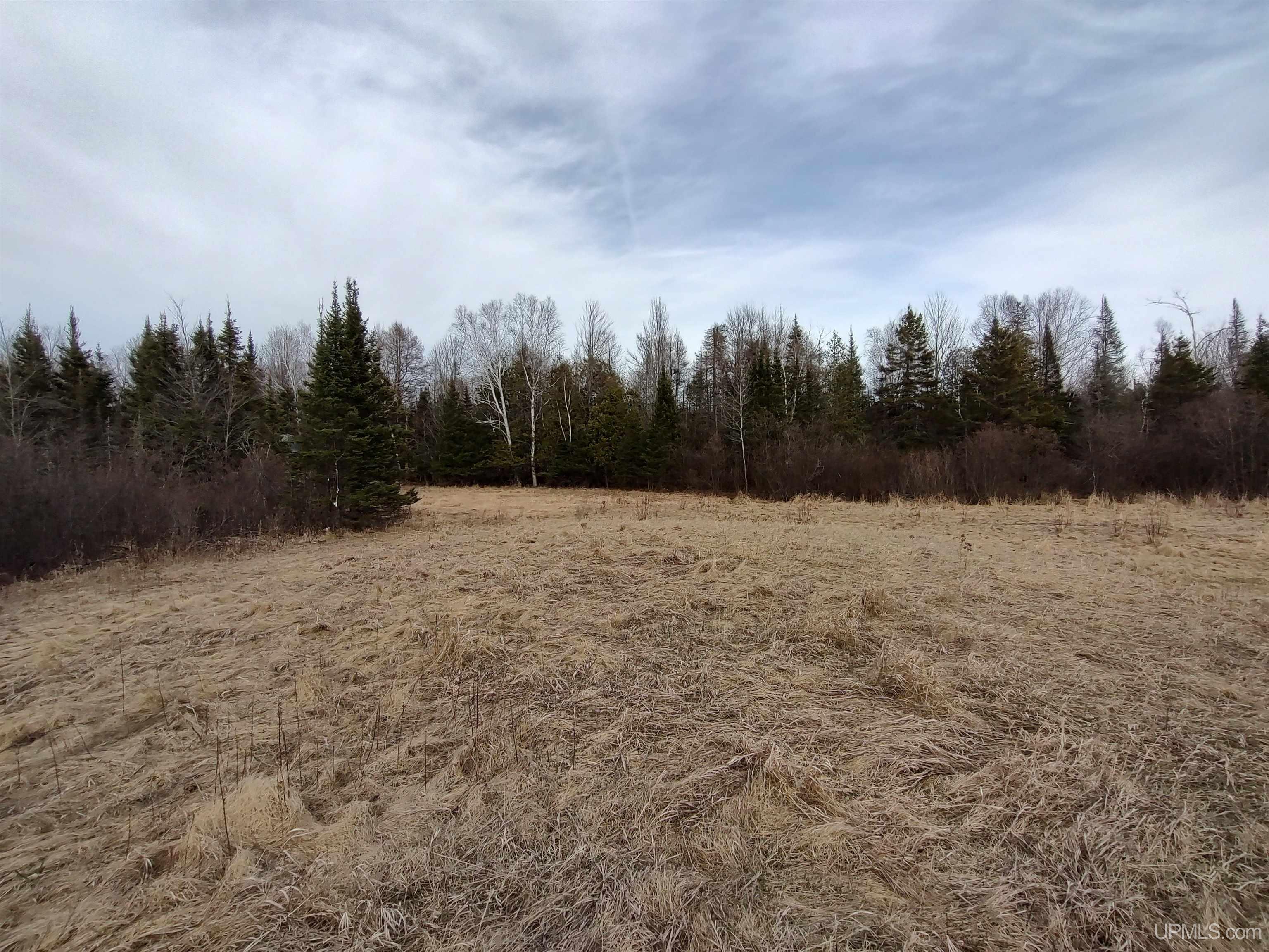 40-acres Trombley 35th Road Rock, MI 49880 - Photo 31 of 62