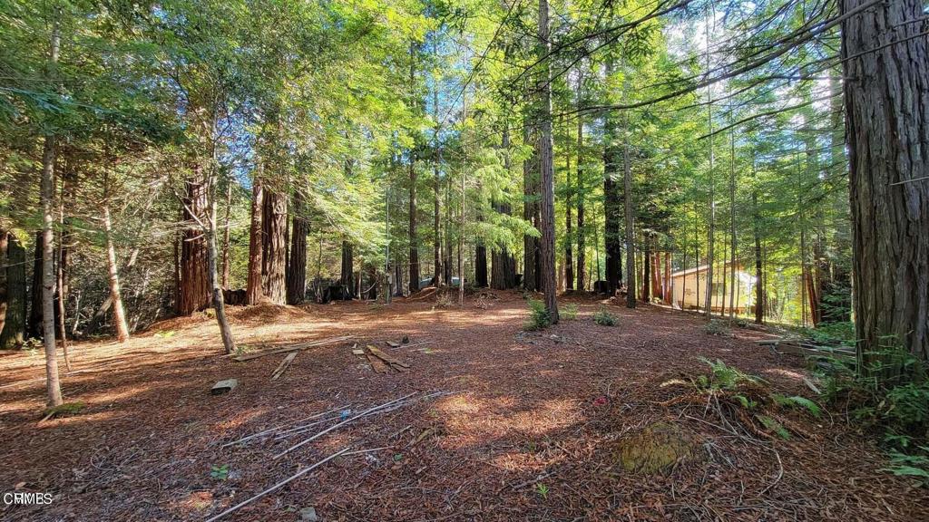 12301 Docker Hill Road Comptche, CA 95427 - Photo 12 of 15 a view of outdoor space with tree s