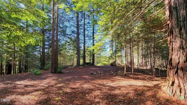 $450,000 | 12301 Docker Hill Road, Comptche, CA 95427