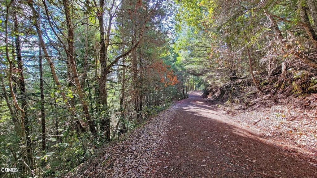 12301 Docker Hill Road Comptche, CA 95427 - Photo 7 of 15 a view of a forest with trees