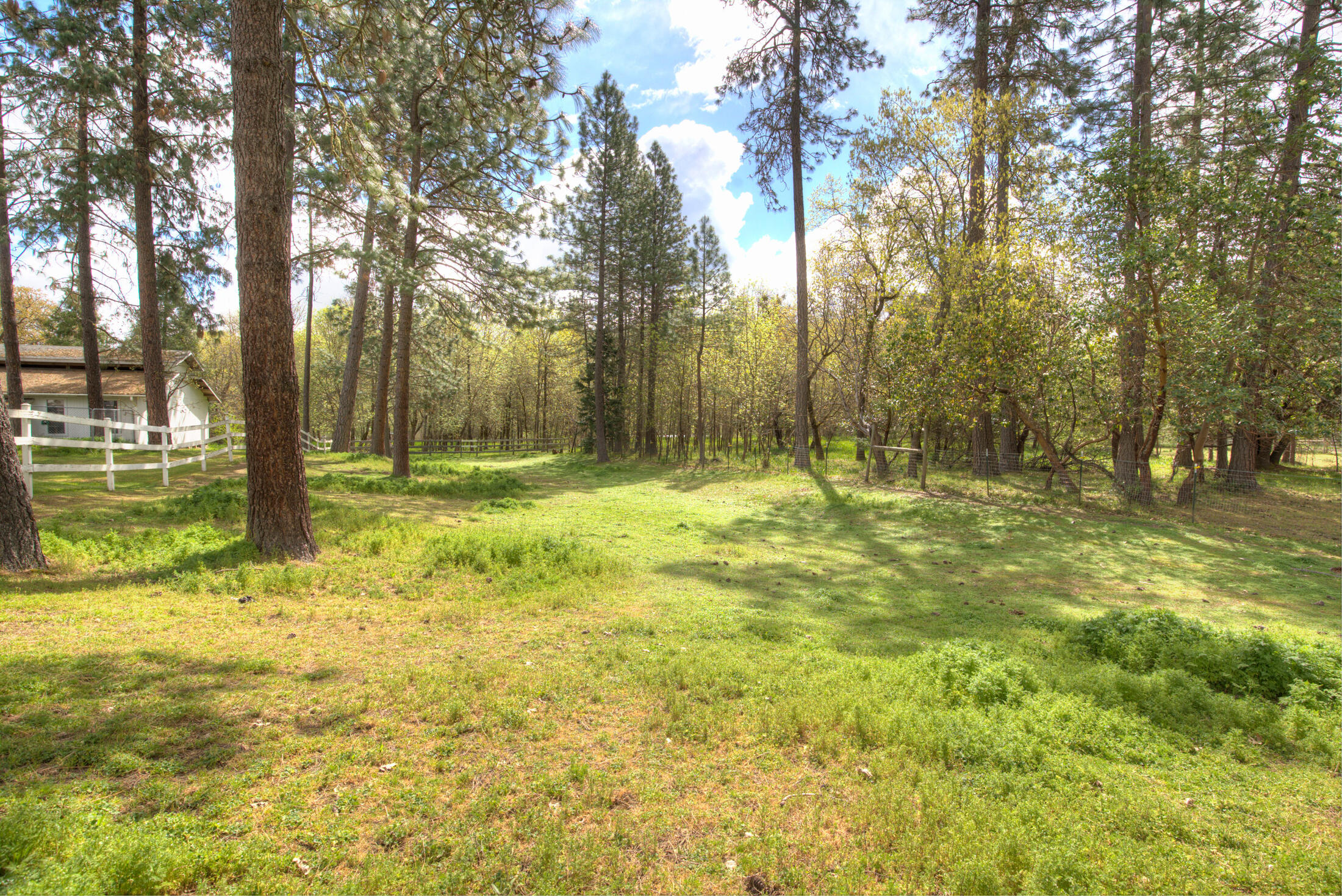 505 Horizon Hills Road Williams, OR 97544 - Photo 55 of 66 horizon038