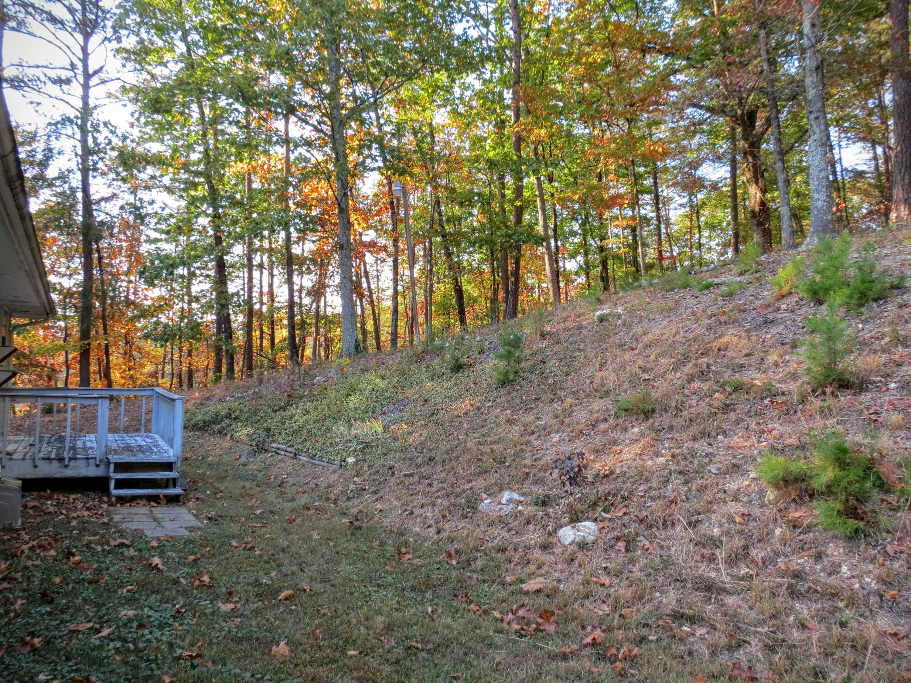 755 Green Pond Road Soddy Daisy, TN 37379 - Photo 24 of 33 Back Yard