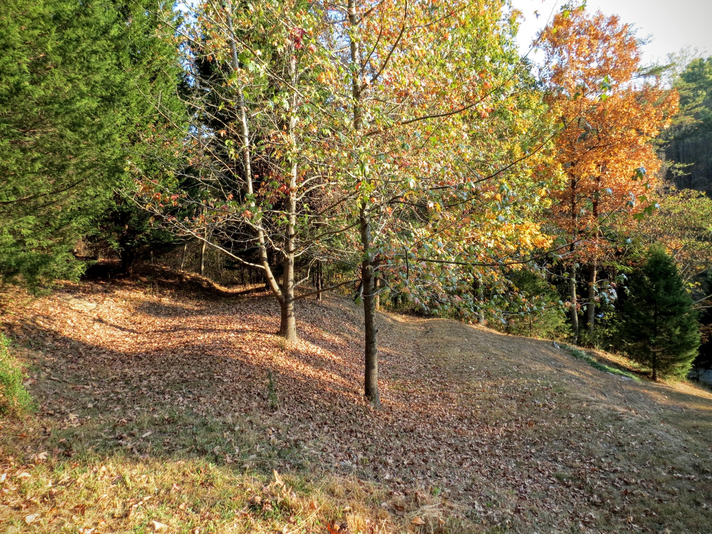 755 Green Pond Road Soddy Daisy, TN 37379 - Photo 28 of 33 View of extra lot