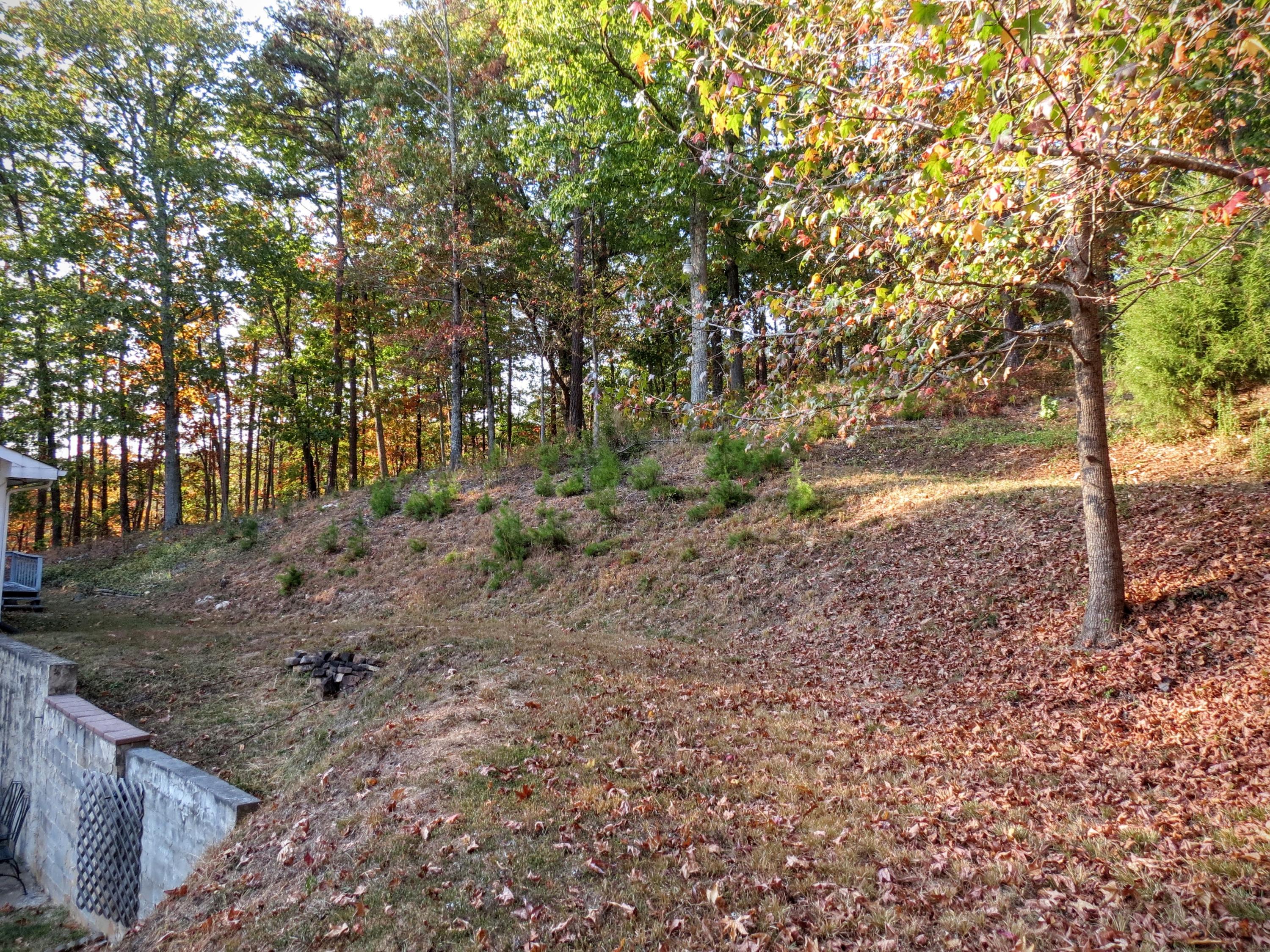755 Green Pond Road Soddy Daisy, TN 37379 - Photo 29 of 33 Back View of Lot