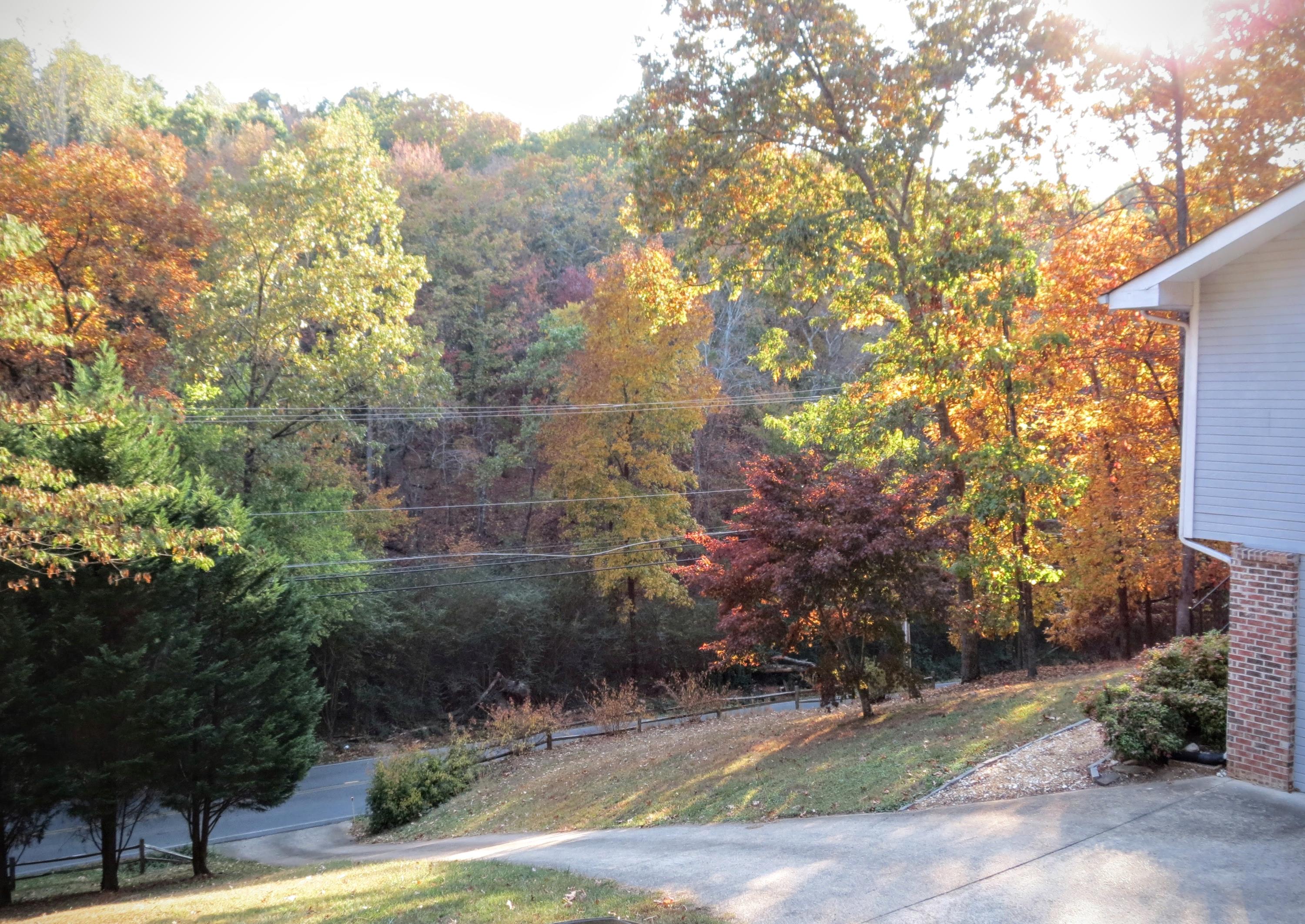 755 Green Pond Road Soddy Daisy, TN 37379 - Photo 30 of 33 Driveway