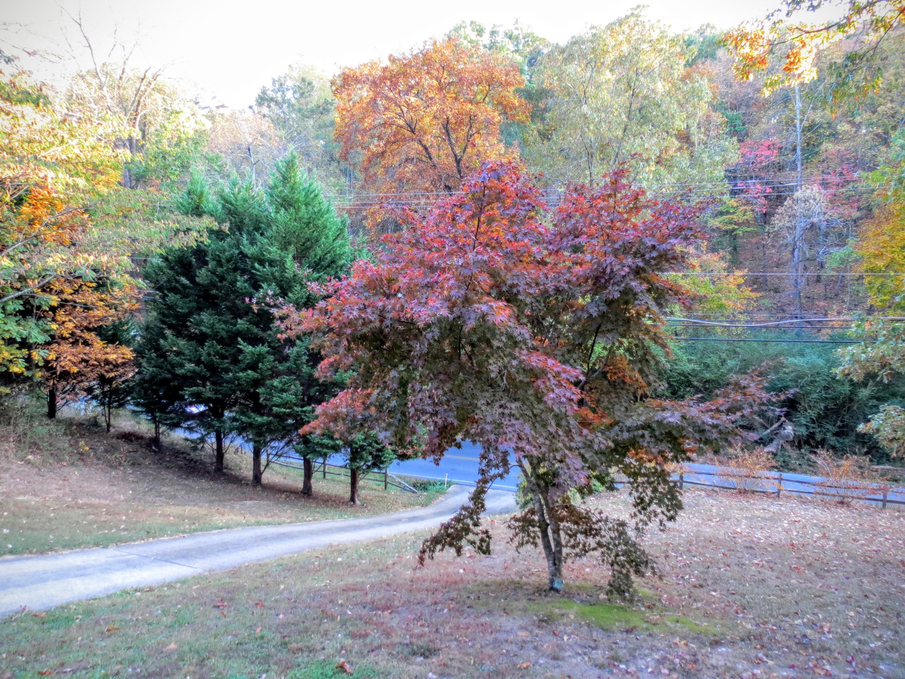755 Green Pond Road Soddy Daisy, TN 37379 - Photo 31 of 33 View from Front Porch