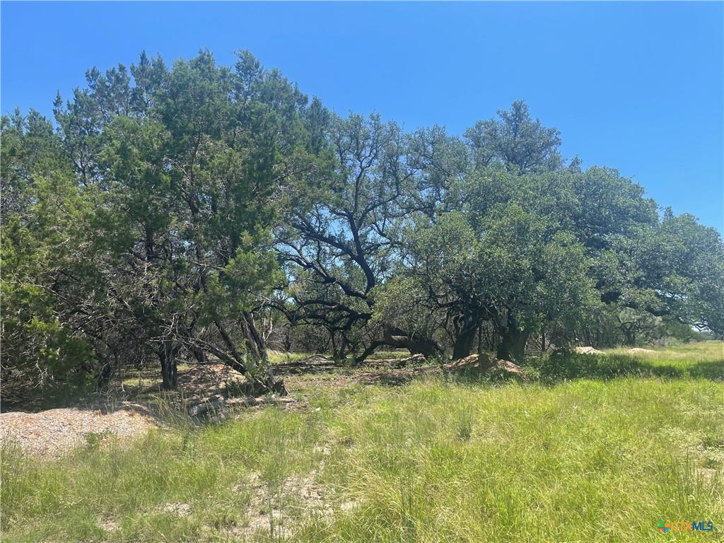 Lot 65 Estate View Circle Lampasas, TX 76550 - Photo 10 of 18 a view of outdoor space and yard