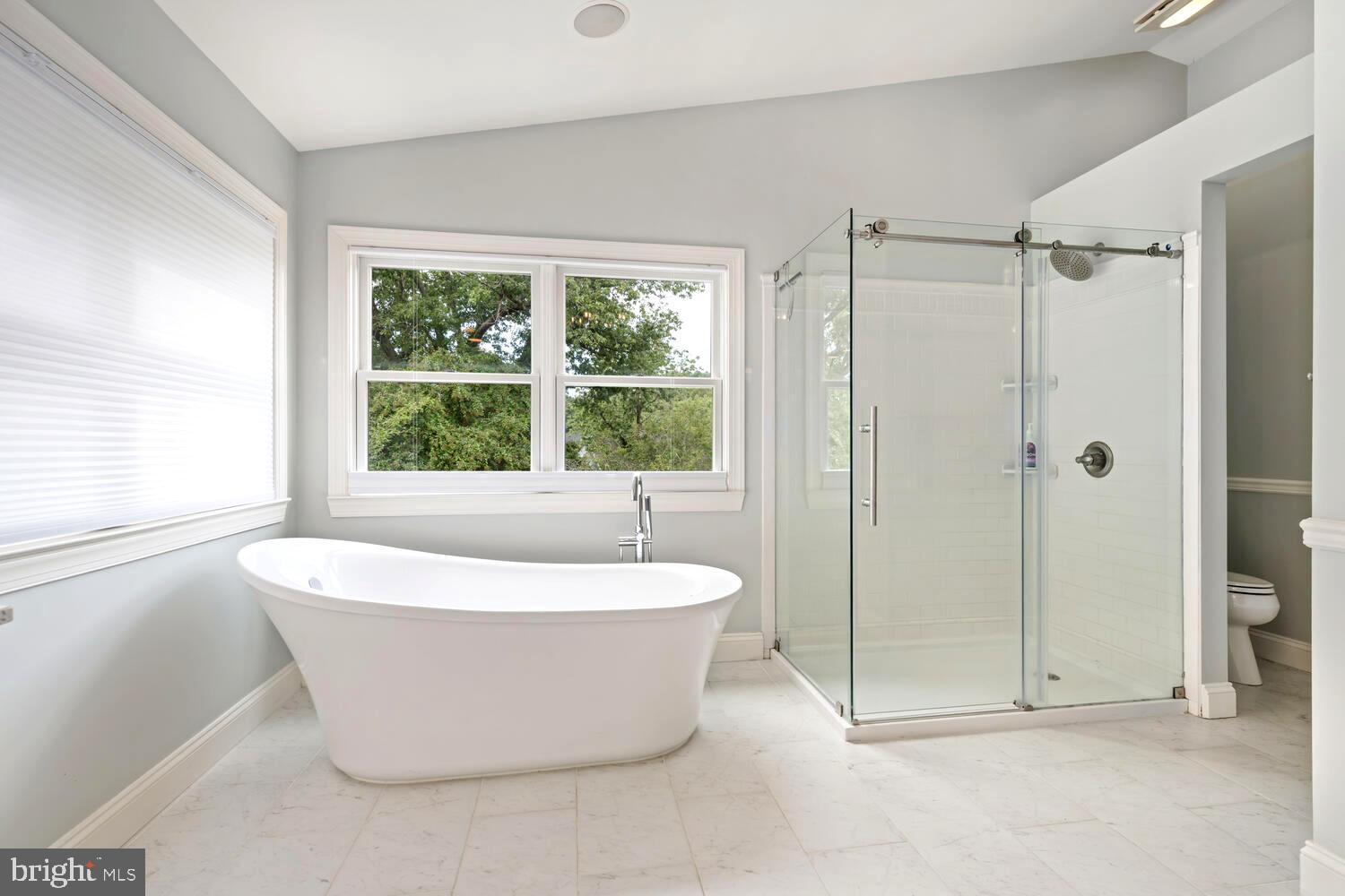 119 Watson Road Centreville, MD 21617 - Photo 30 of 57 Soaking Tub and walk in shower