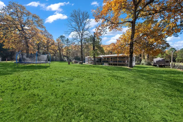 a view of a park with large trees