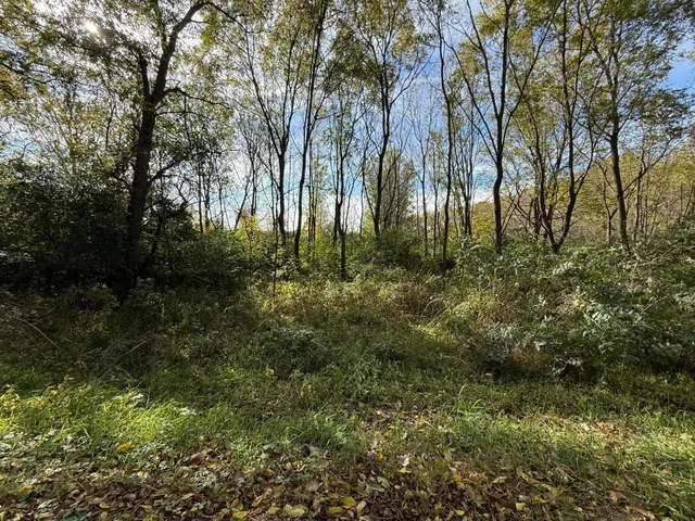 a view of yard with green space