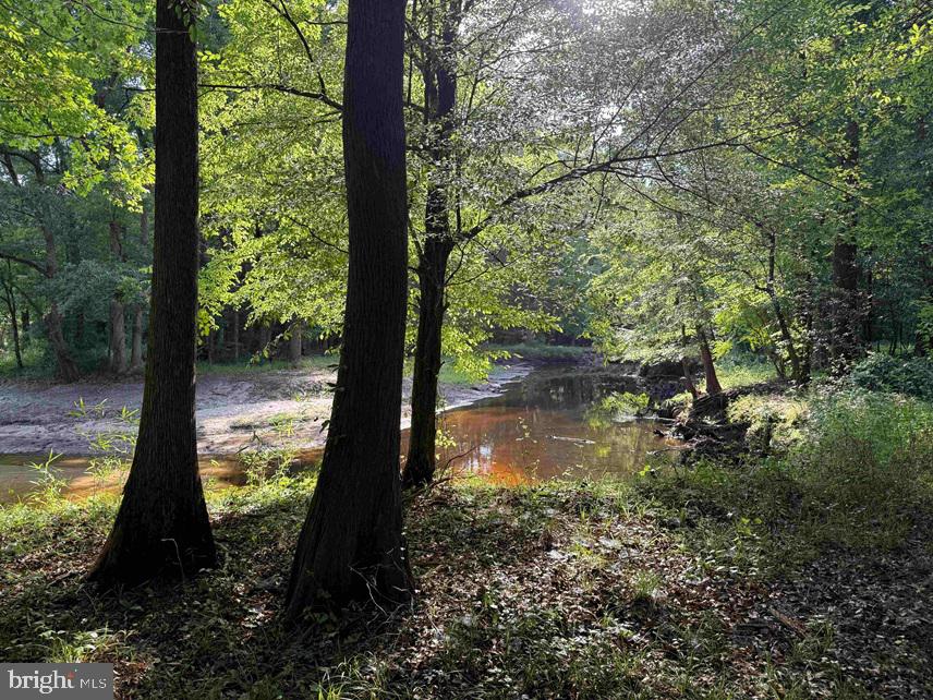 Sarecta Road Kenansville, NC 28349 - Photo 27 of 28