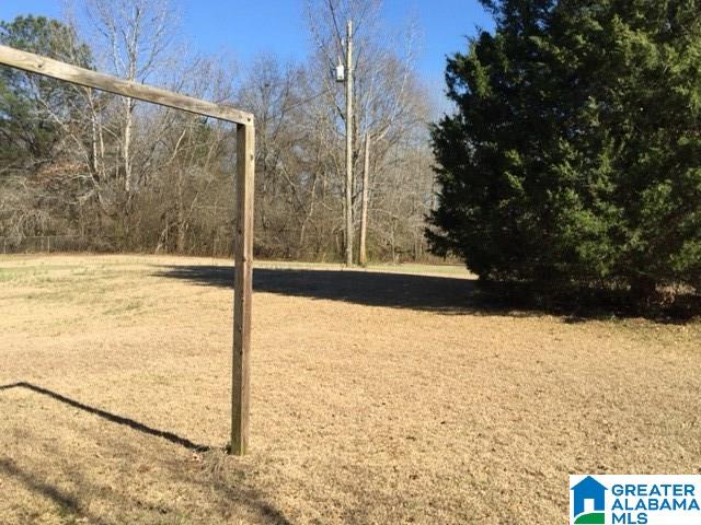 4904 Jim Goggans Road Dora, AL 35062 - Photo 18 of 21