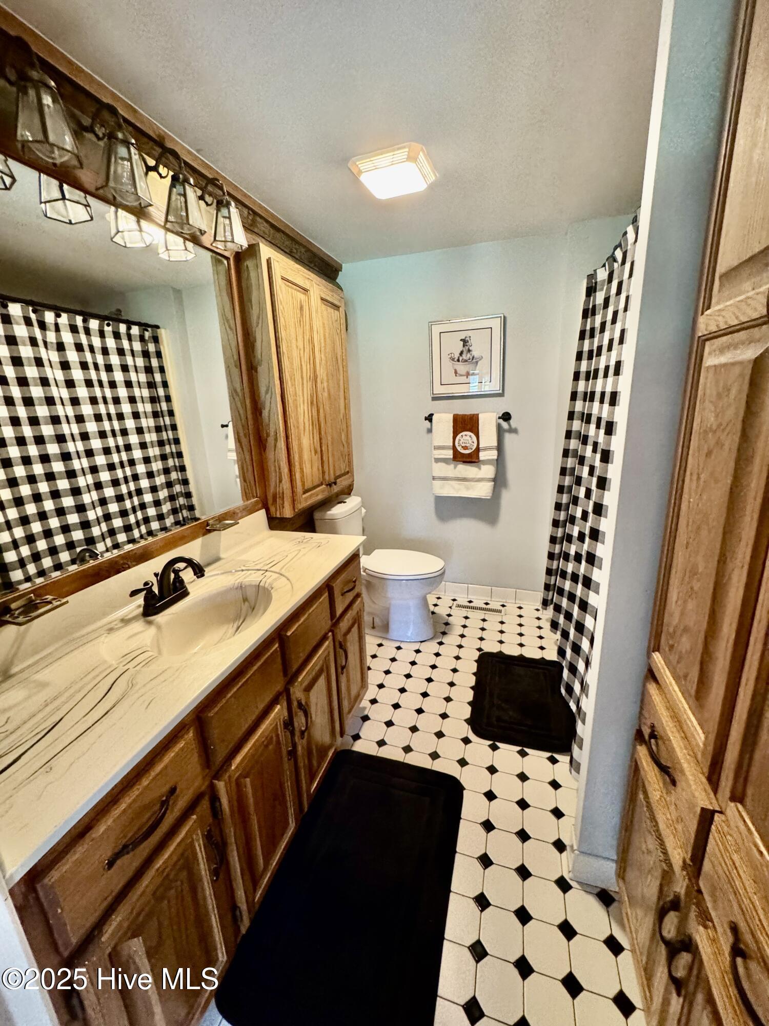 4040 Highway 903 Albertson, NC 28508 - Photo 16 of 41 Downstairs Bath