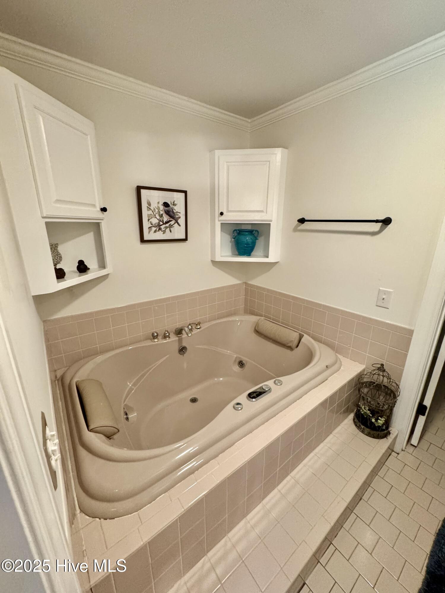 4040 Highway 903 Albertson, NC 28508 - Photo 20 of 41 Master Tub