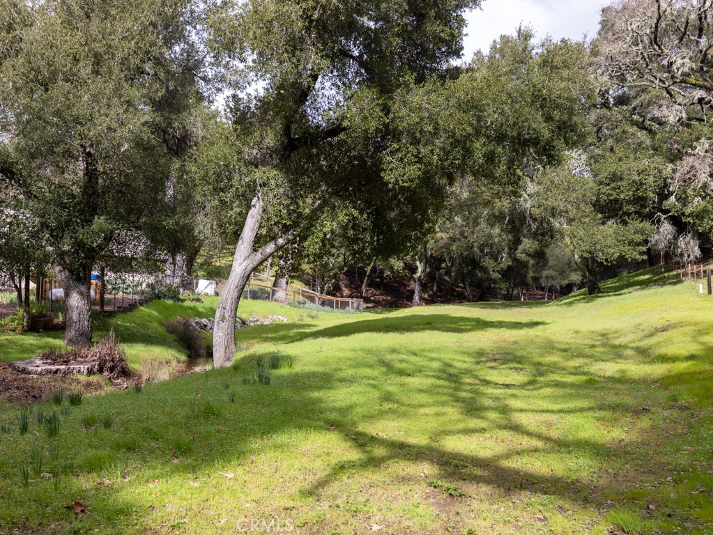 13700 Santa Lucia Road Atascadero, CA 93422 - Photo 39 of 47 Seasonal Creek