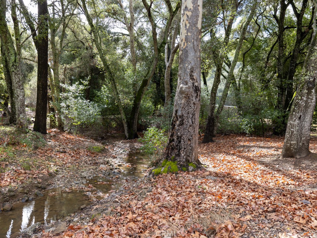 13700 Santa Lucia Road Atascadero, CA 93422 - Photo 44 of 47 Seasonal Creeks