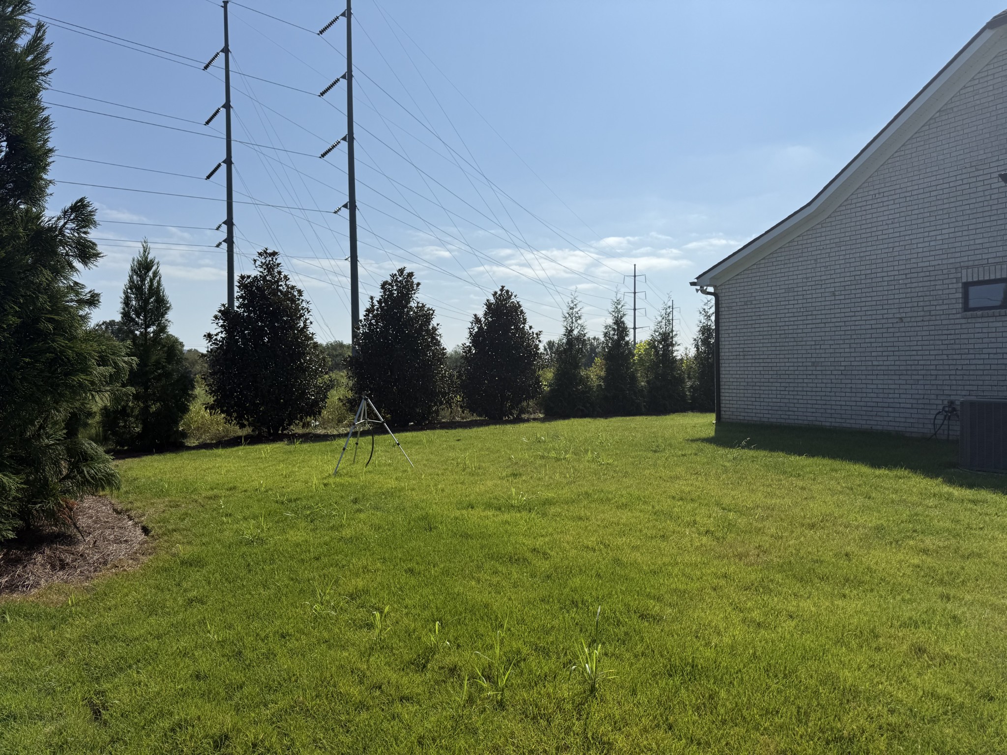 7744 Second Fiddle Way Arrington, TN 37014 - Photo 6 of 31 a yard with trees in the background