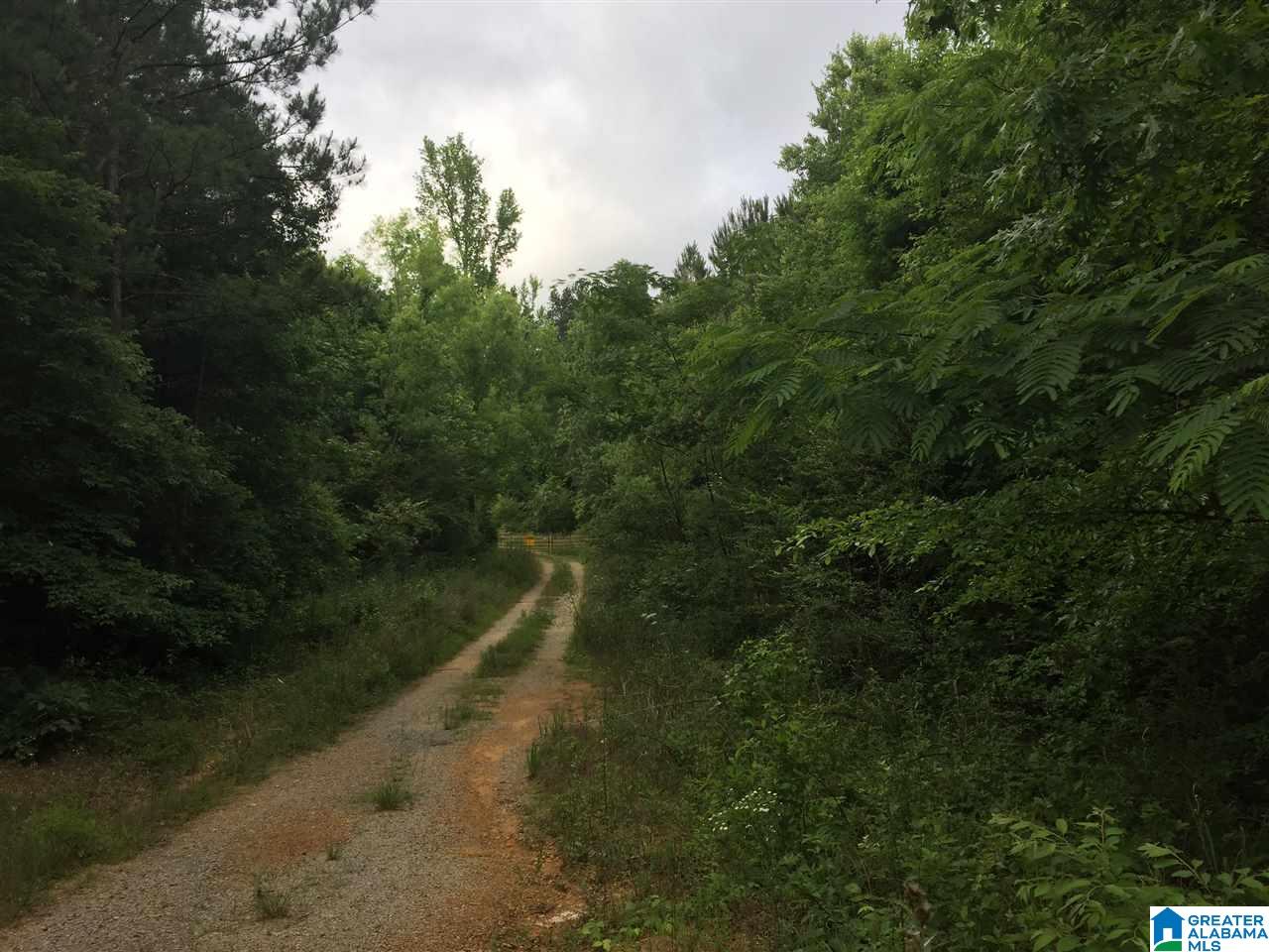 5373 Mud Creek Road, Unit 49 Adger, AL 35006 - Photo 3 of 6