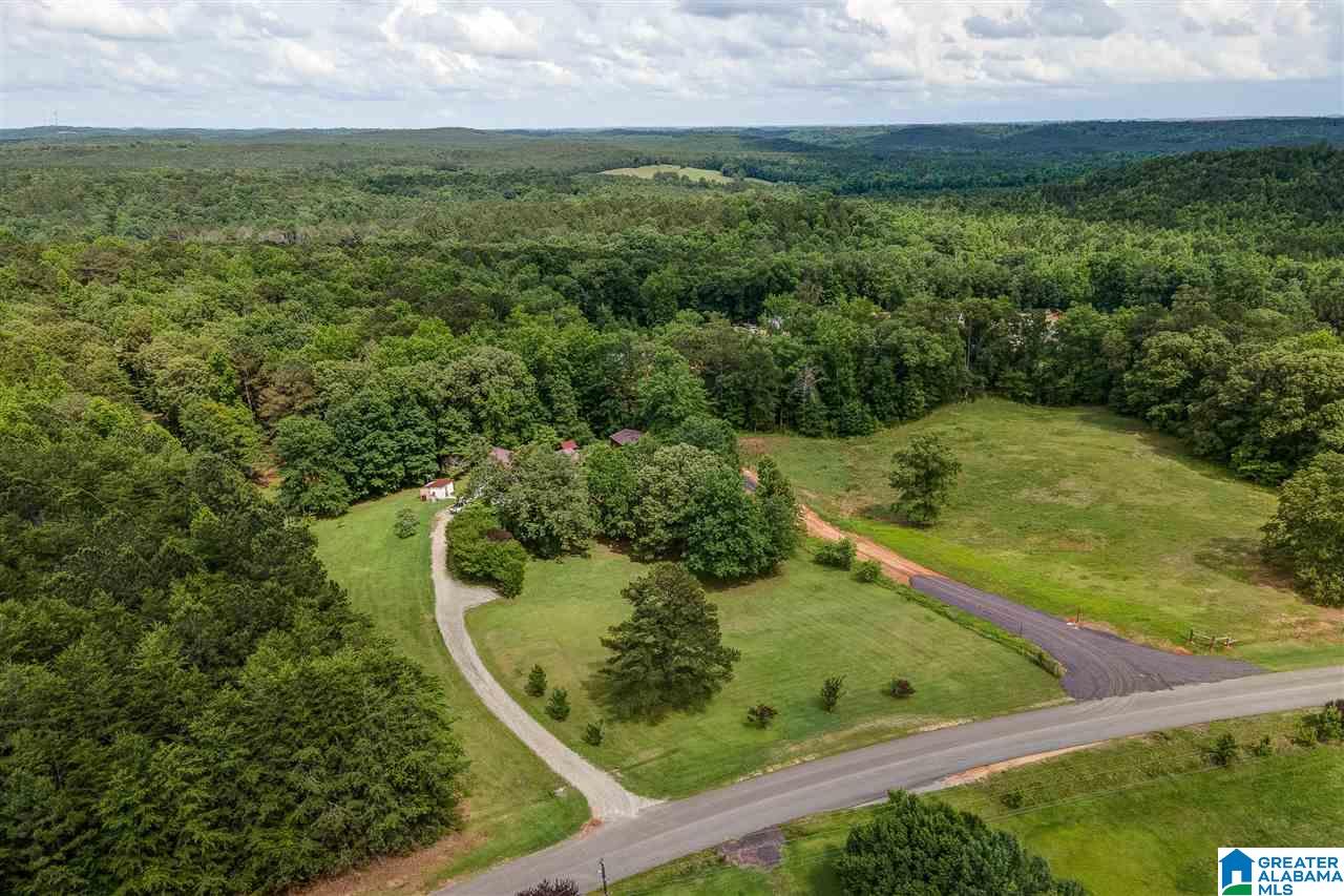 12363 Bama Rock Garden Road Vance, AL 35490 - Photo 5 of 48