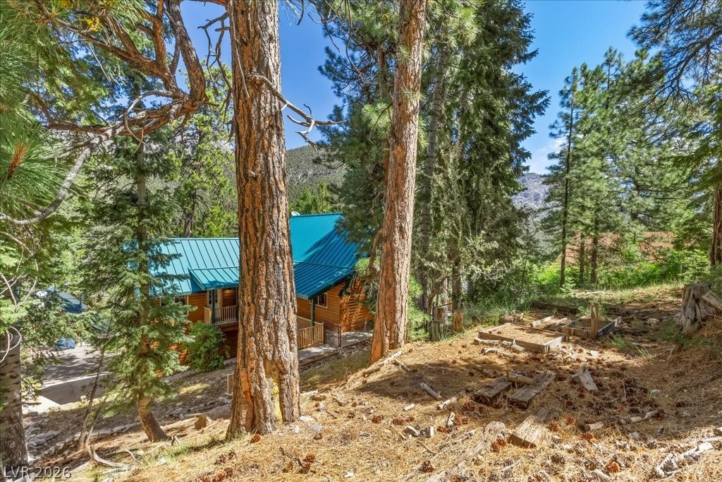 370 Alpine Way Mount Charleston, NV 89124 - Photo 49 of 79 Yard space.