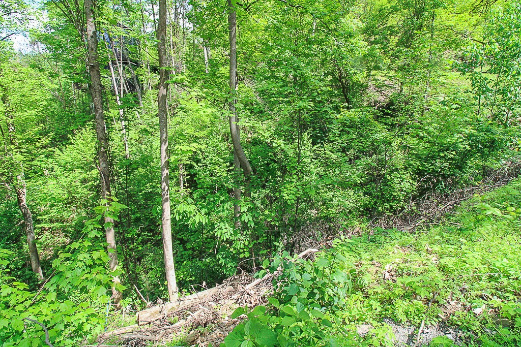 579 Crooked Ridge Road Gatlinburg, TN 37738 - Photo 16 of 24 Gallery Image 16