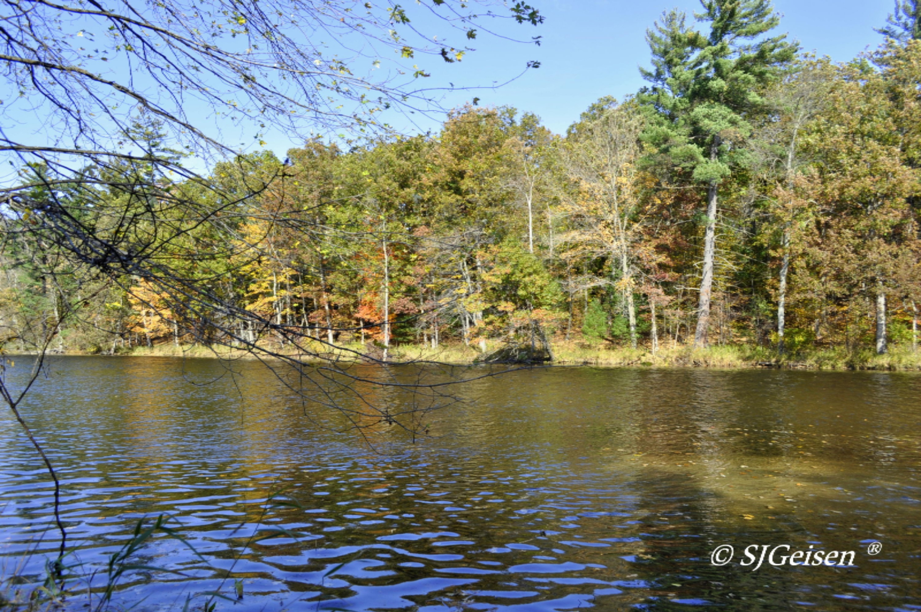 6670 Belding Road Belding, MI 48809 - Photo 21 of 23 6670 BD Rd-12