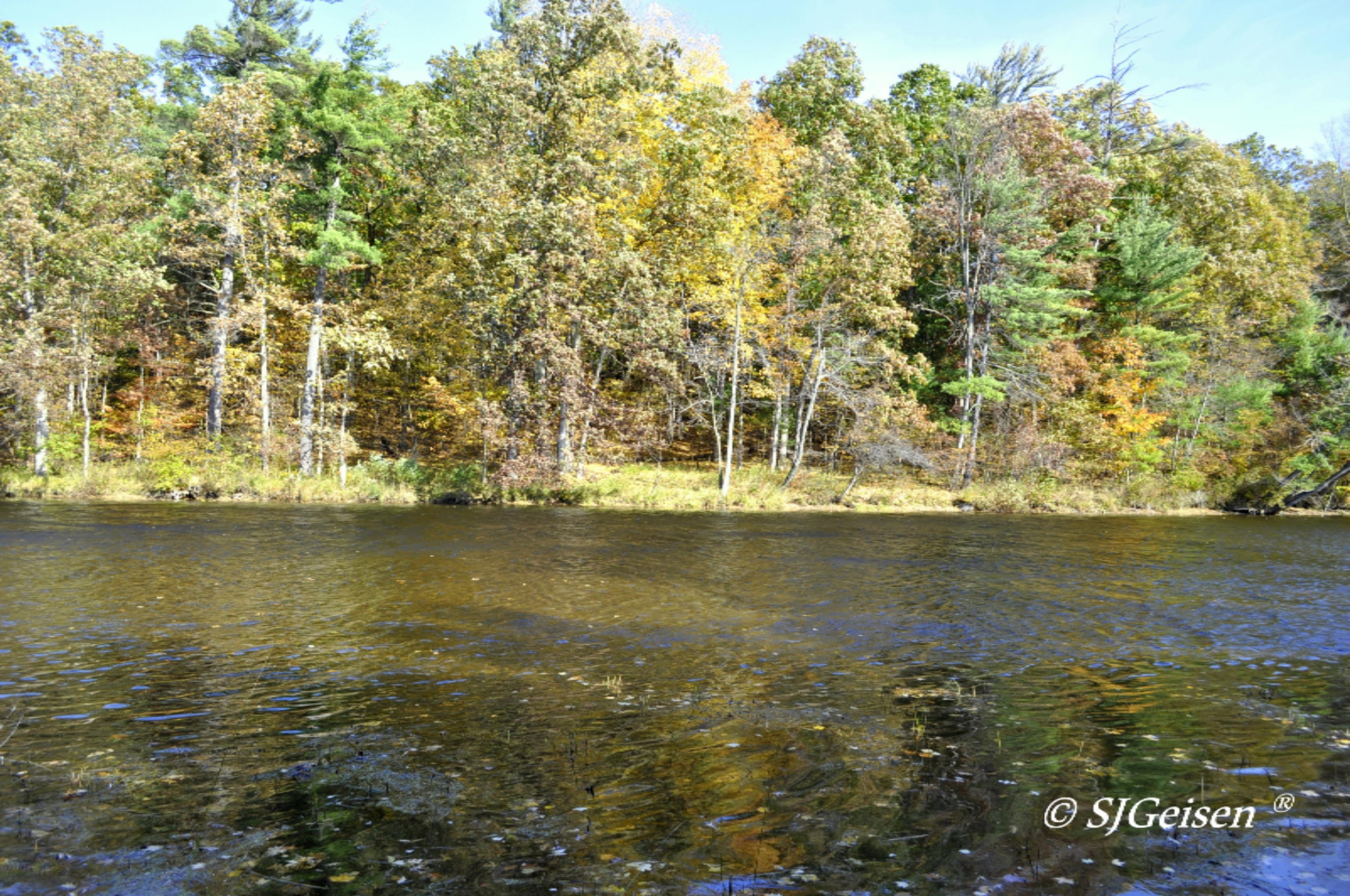 6670 Belding Road Belding, MI 48809 - Photo 22 of 23 6670 BD Rd-13
