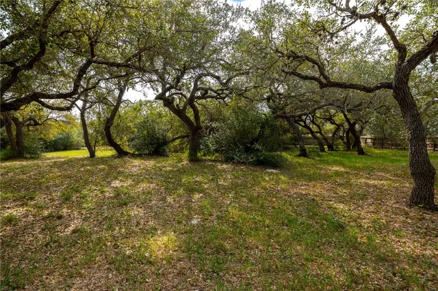 a view of a yard with a tree