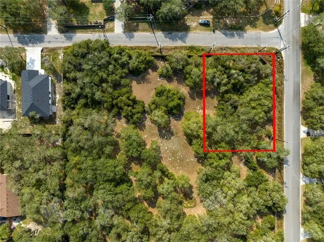 an aerial view of residential houses with outdoor space and trees