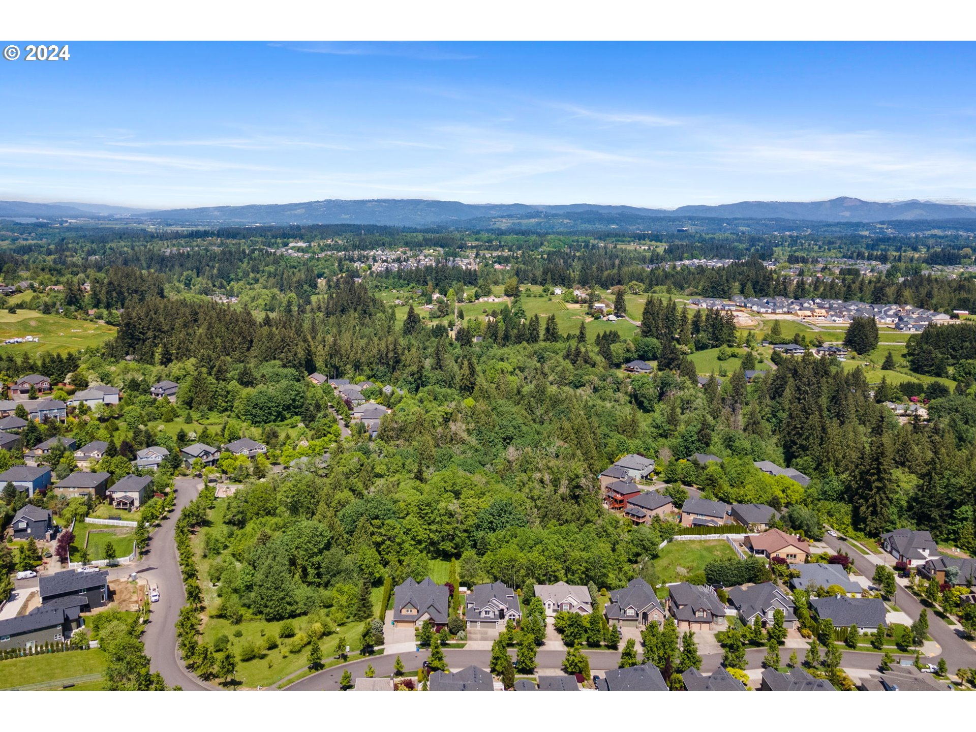 2204 South 17th Way Ridgefield, WA 98642 - Photo 43 of 45 an aerial view of residential houses with outdoor space and trees