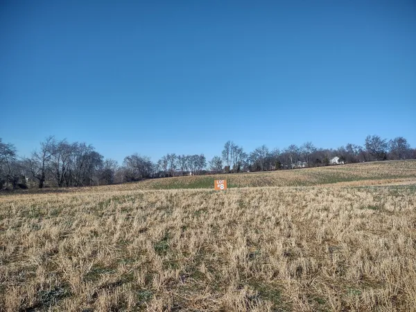 a view of lake and mountain