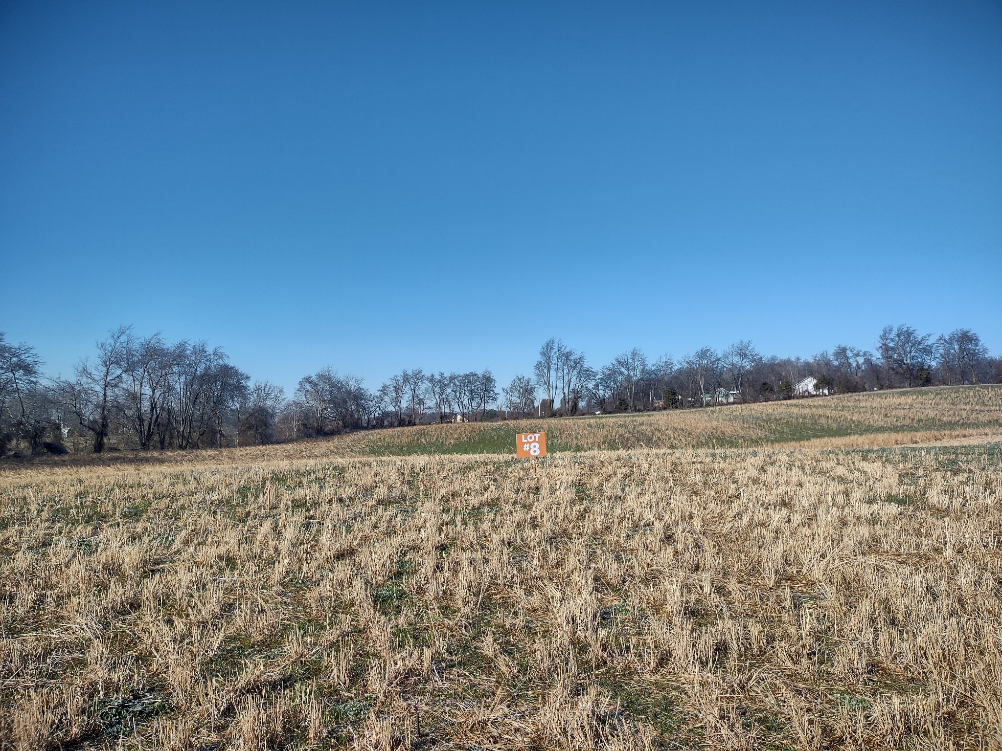 8 Highway 161 Springfield, TN 37172 - Photo 2 of 2