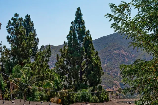 an outdoor view of backyard with green space